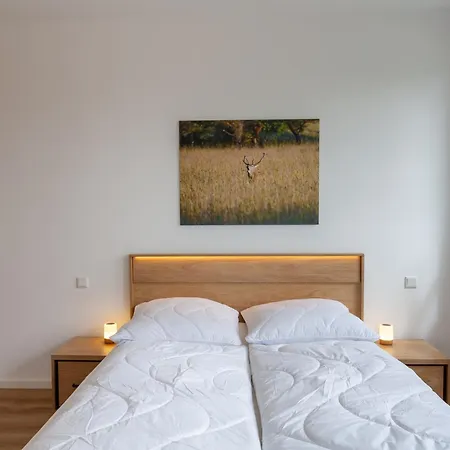 Apartmán Hirschmann 3 Mit Sauna Und Balkon