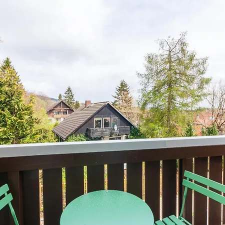 Hirschmann 3 Mit Sauna Und Balkon