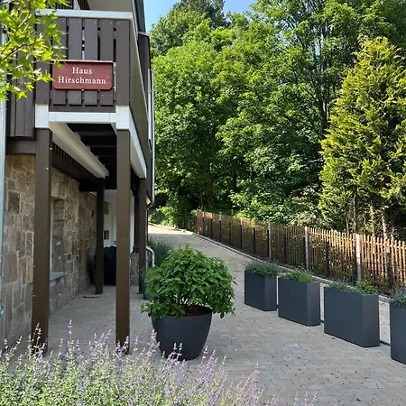 Hirschmann 3 Mit Sauna Und Balkon Braunlage